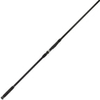 AP FR F CARP MAX 6