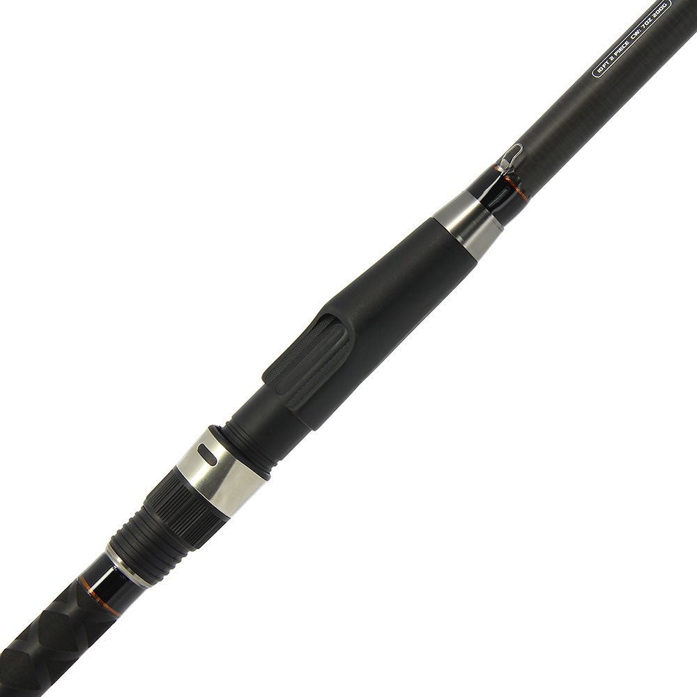 NGT 10ft Dynamic Catfish 2pc 7oz Carbon