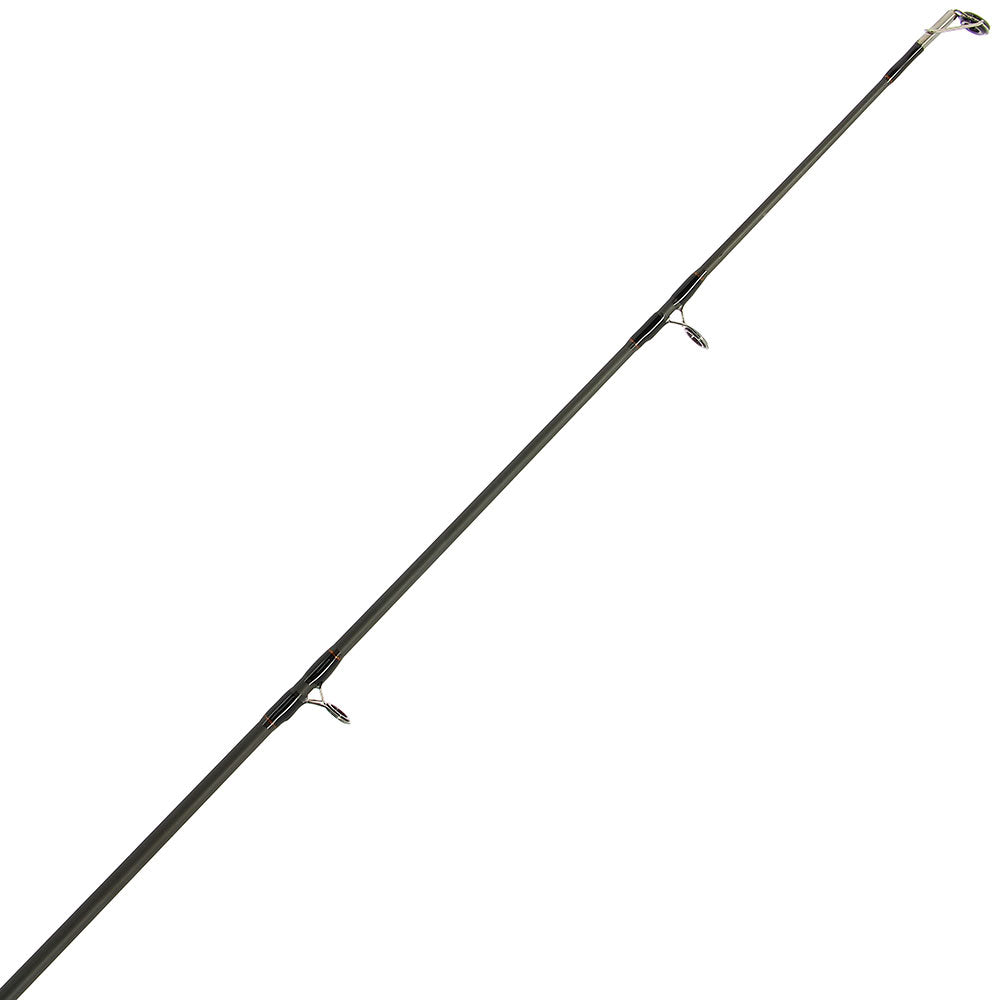 NGT 10ft Dynamic Catfish 2pc 7oz Carbon