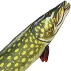 NGT Pike Plush Pillow