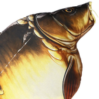 NGT The 50lber Mirror Carp Pillow